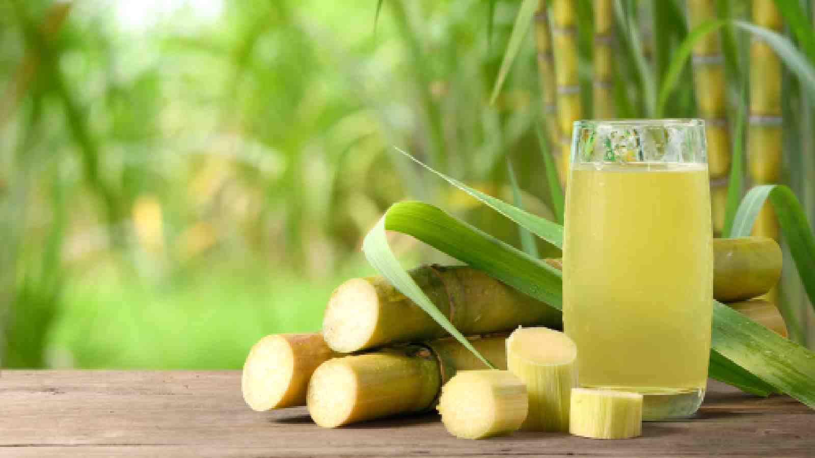 Sugarcane Article 